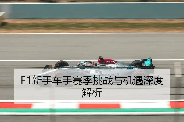 F1新手车手赛季挑战与机遇深度解析